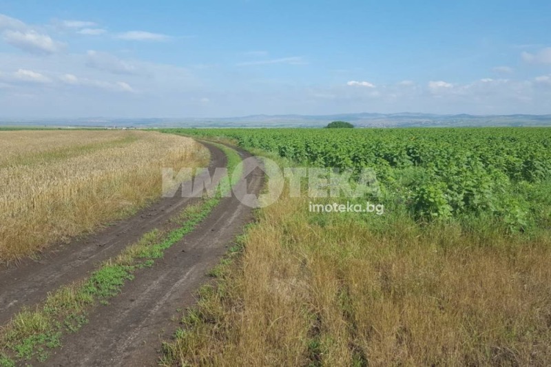 Zu verkaufen  Land region Plowdiw , Skutare , 7.25 dka | 40160025
