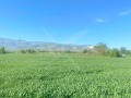 Продава ПАРЦЕЛ, град Пловдив, Асеновградско шосе • 220000 € • 63259106 — Holmes.bg