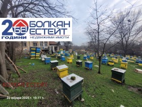 House Polikraishte, region Veliko Tarnovo 11