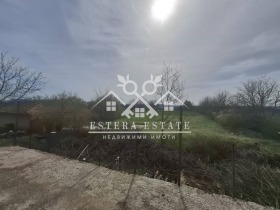 ������ ������� ����