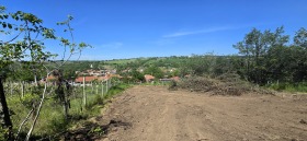Парцел с. Пиргово, област Русе 2