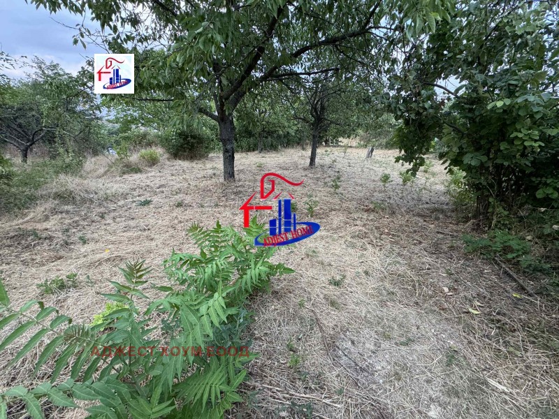 Na prodej  Dům Šumen , Divdjadovo , 133 m2 | 43837373 - obraz [3]