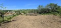 Продава ПАРЦЕЛ, с. Пиргово, област Русе, снимка 4