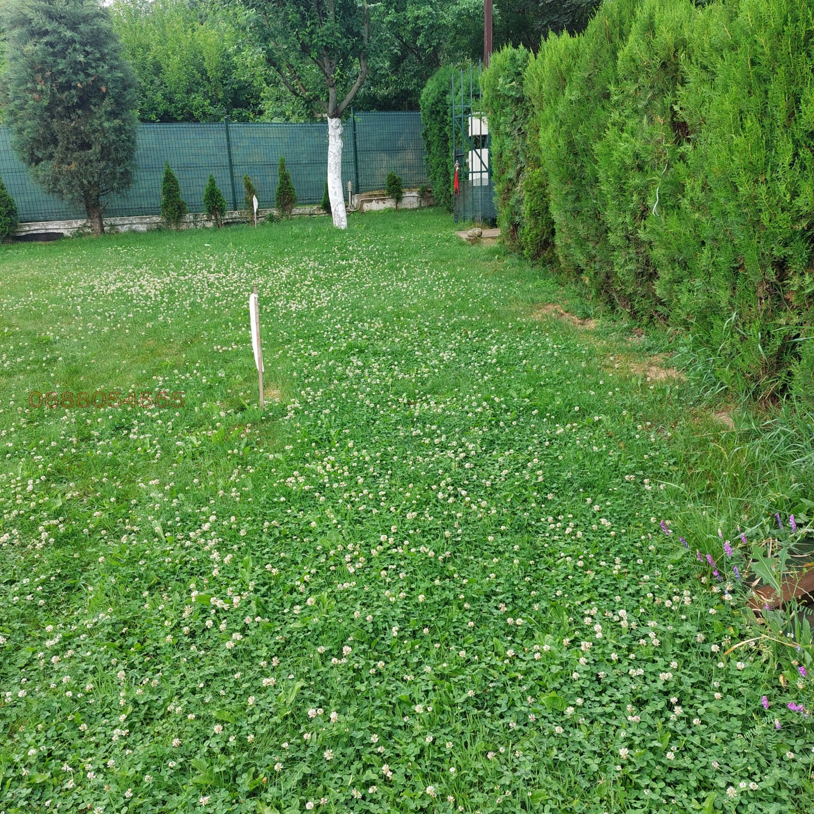 ������� ������ | Imot.bg � ����������� 1