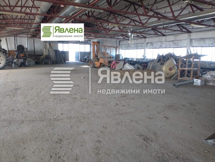 Продава  Пром. помещение област София , с. Литаково , 10000 кв.м | 59492518 - изображение [5]