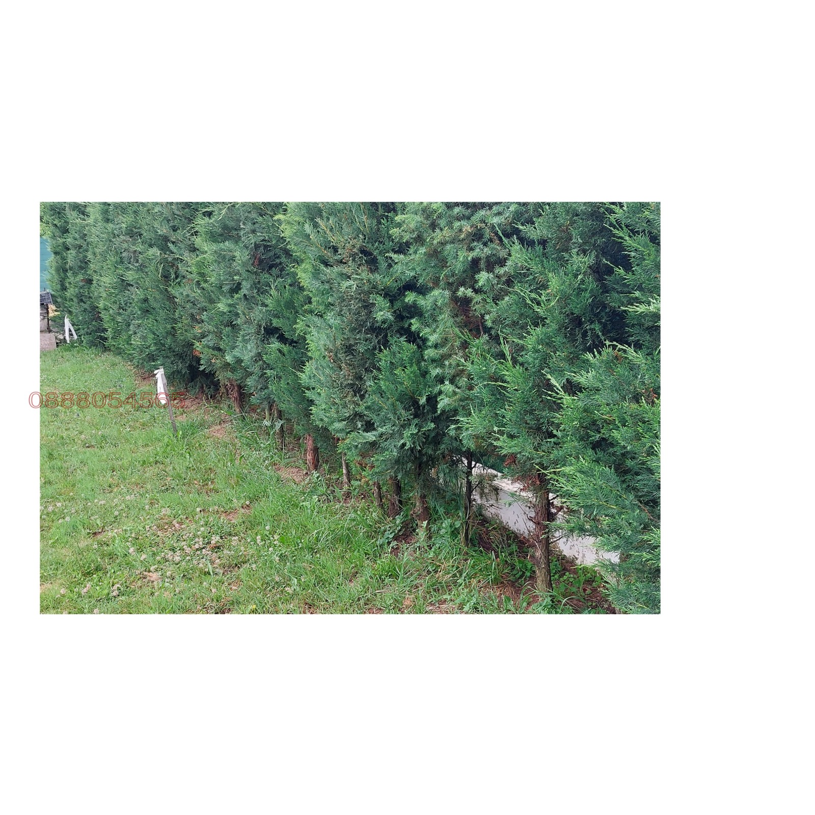 Продава ПАРЦЕЛ, гр. Перник, Радина чешма, снимка 3 - Парцели - 55366586