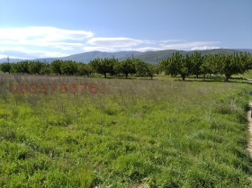 ������� ������ | Imot.bg � ����� ������ 7