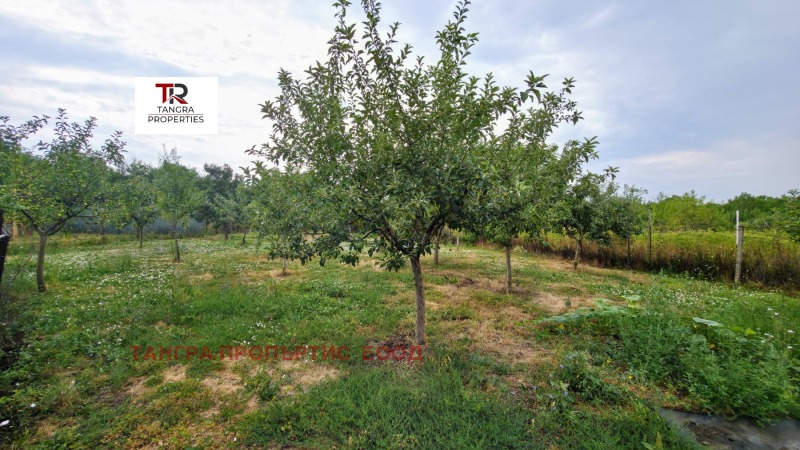 À vendre  Maison région Pernik , Debeli lag , 70 m² | 60225130 - image [9]