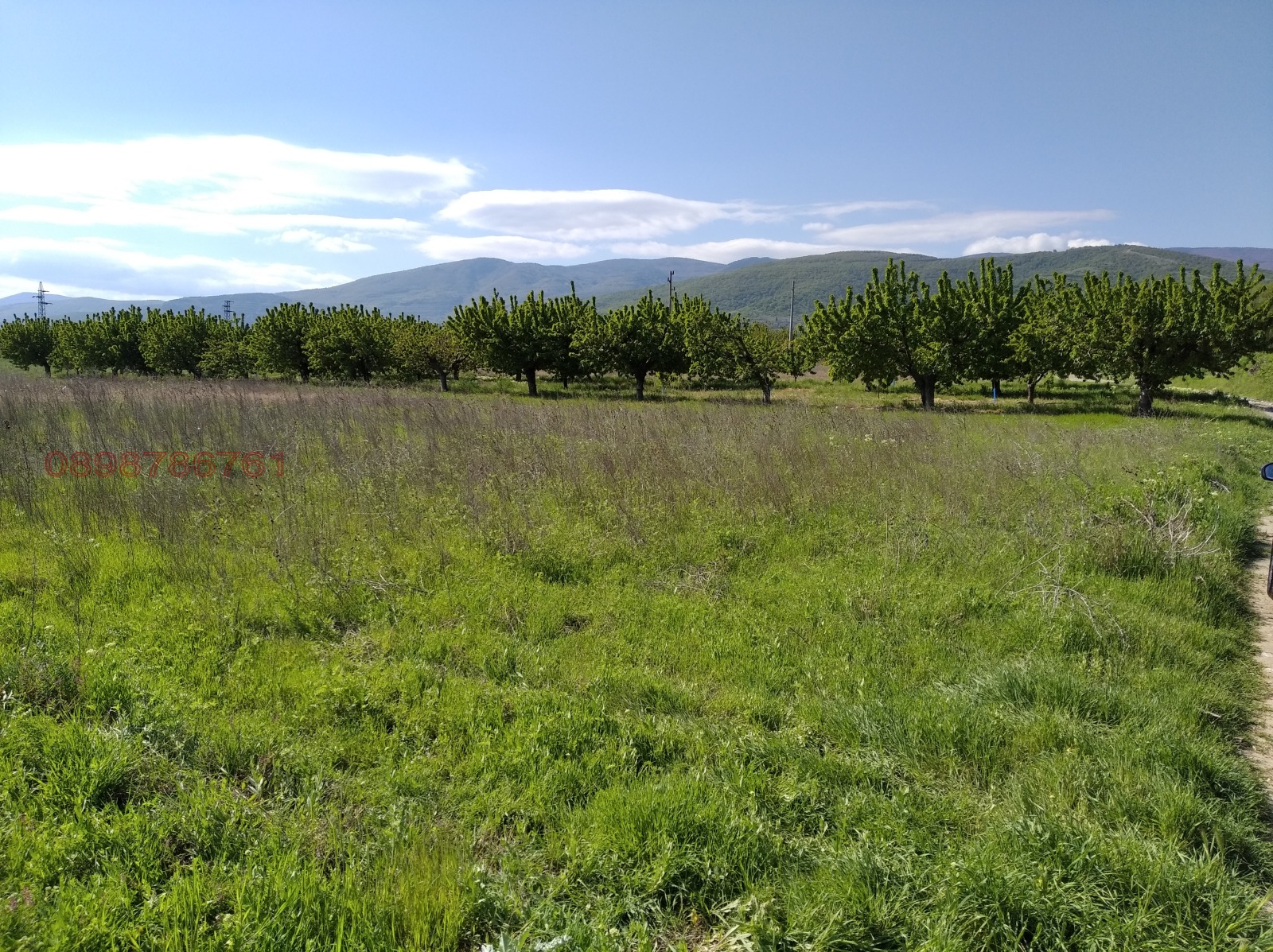 Продава ПАРЦЕЛ, с. Белащица, област Пловдив, снимка 7 - Парцели - 53884047