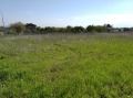 Продава ПАРЦЕЛ, с. Белащица, област Пловдив, снимка 3