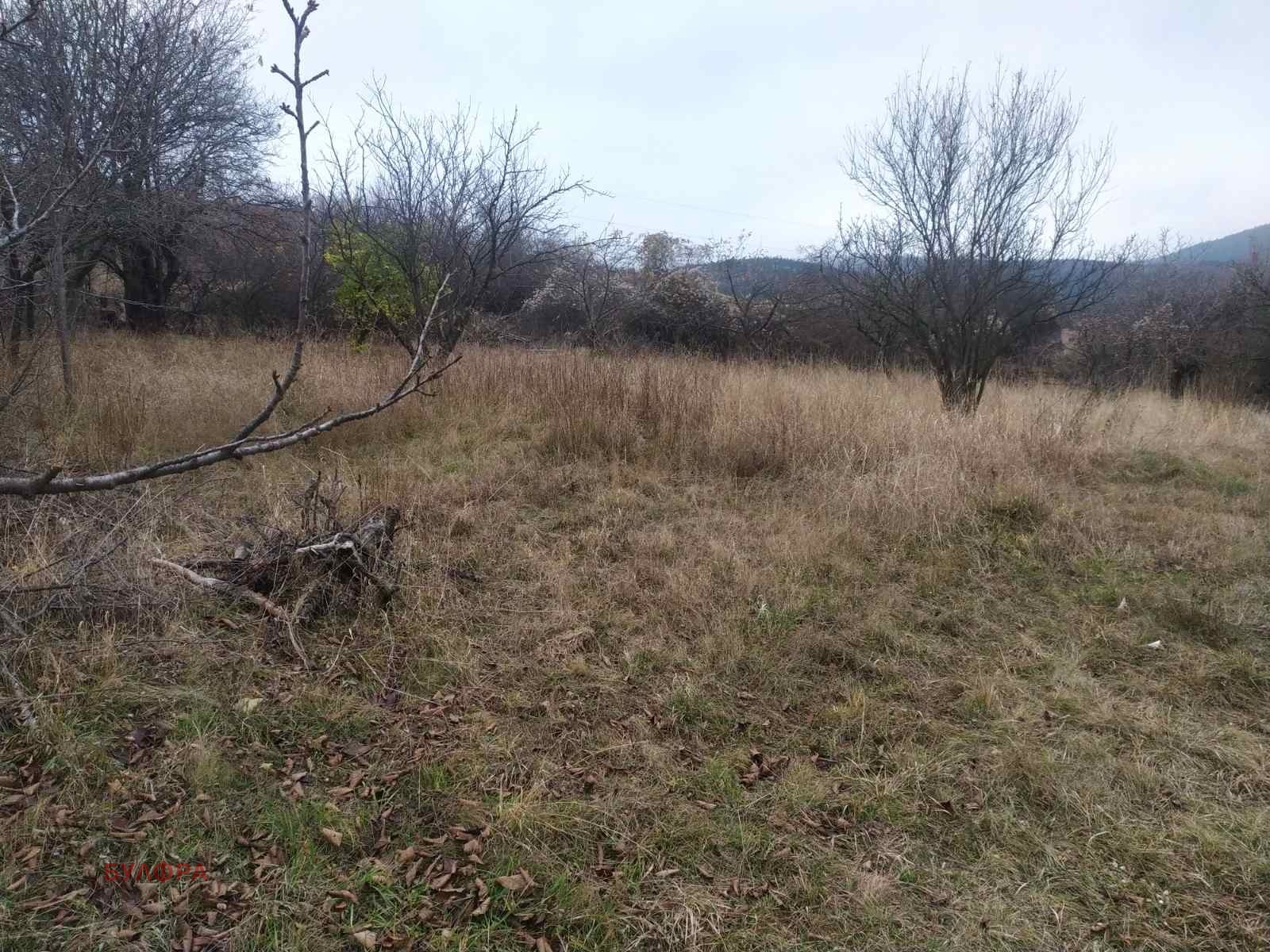 ������� ������ | Imot.bg � ����������� 6