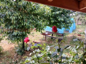 ������� ���� | Imot.bg � ����� ������ 5