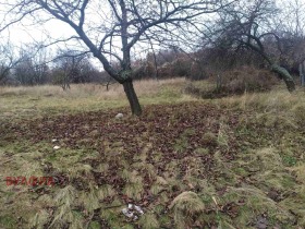 ������� ������ | Imot.bg � ����� ������ 8