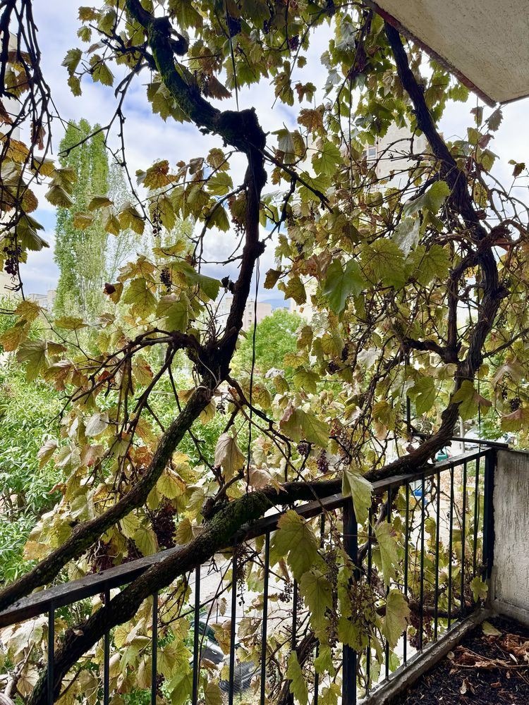 Продава  4-стаен град София , Бъкстон , 80 кв.м | 14923768 - изображение [6]