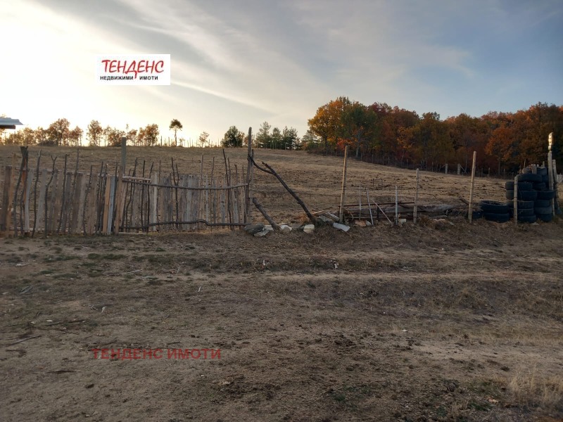 À vendre  Atterrir région Kardjali , Kouptsite , 5 dka | 25429321 - image [6]