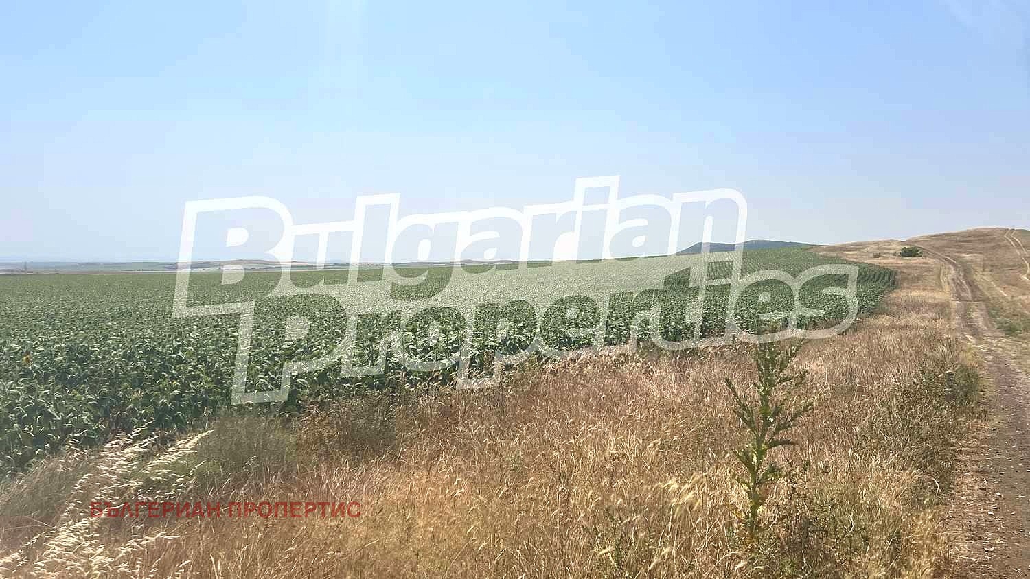 Продава ЗЕМЕДЕЛСКА ЗЕМЯ | Imot.bg — изображение 16