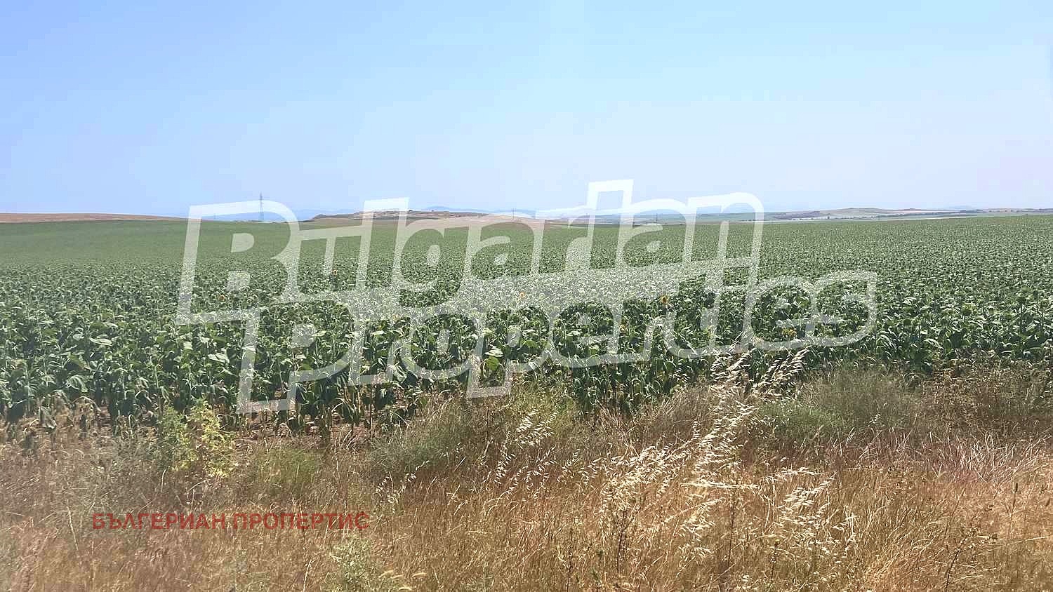 Продава ЗЕМЕДЕЛСКА ЗЕМЯ | Imot.bg — изображение 17