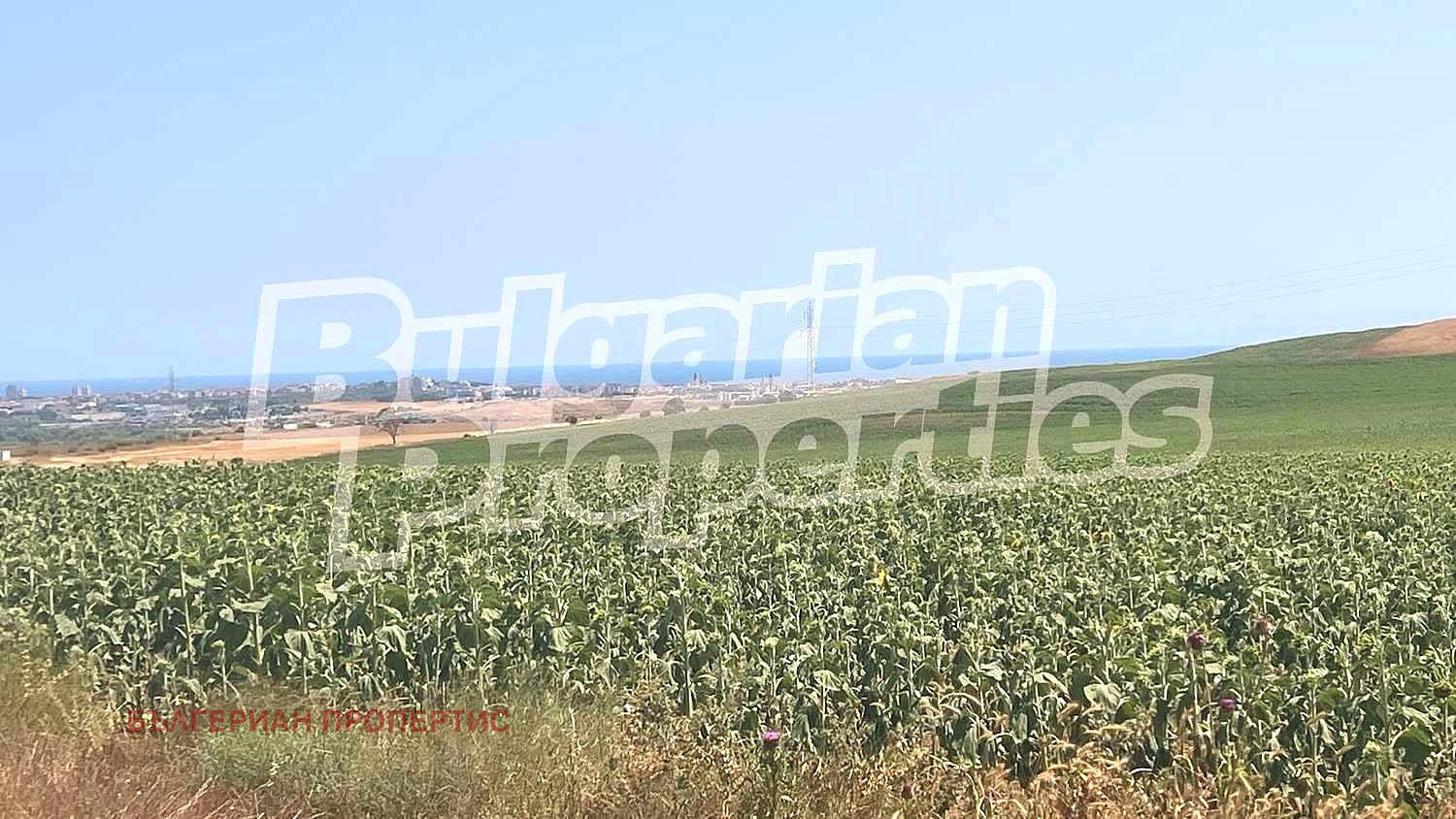 Продава ЗЕМЕДЕЛСКА ЗЕМЯ | Imot.bg — изображение 8