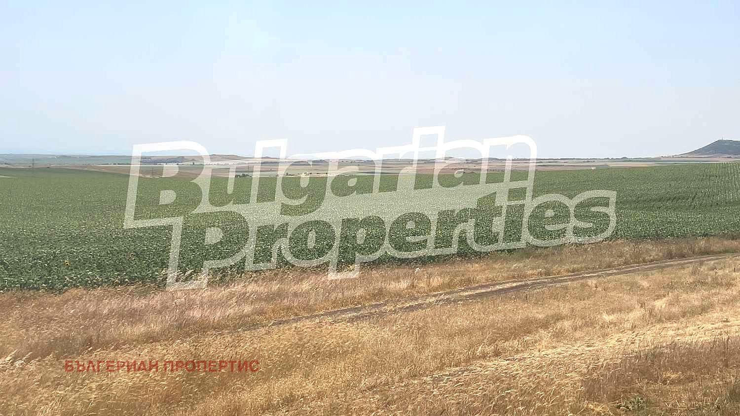 Продава ЗЕМЕДЕЛСКА ЗЕМЯ | Imot.bg — изображение 10