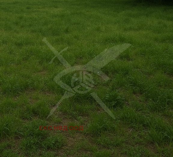 Продава  Парцел област Пловдив , с. Белащица , 9098 кв.м | 56594352