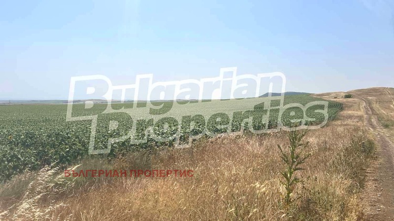 Til salgs  Land region Burgas , Tankovo , 12.504 dka | 48599058 - bilde [16]
