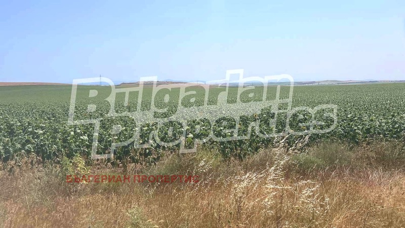 Til salgs  Land region Burgas , Tankovo , 12.504 dka | 48599058 - bilde [17]
