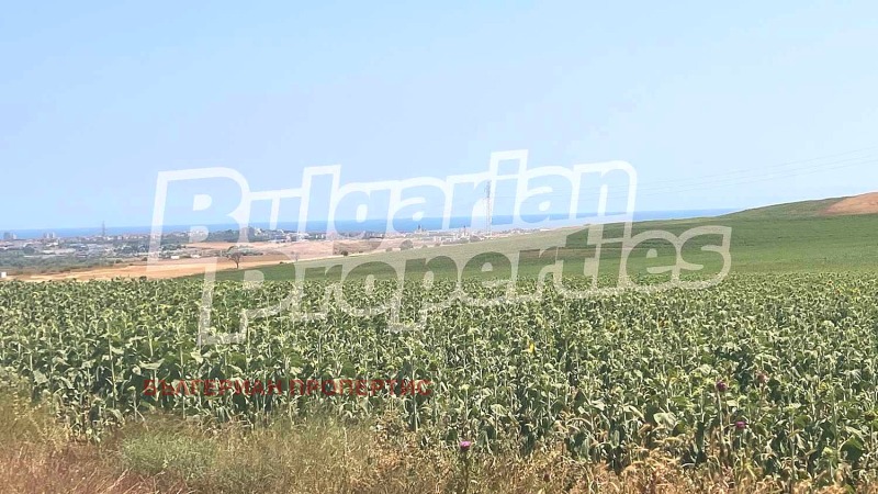 Til salgs  Land region Burgas , Tankovo , 12.504 dka | 48599058 - bilde [8]