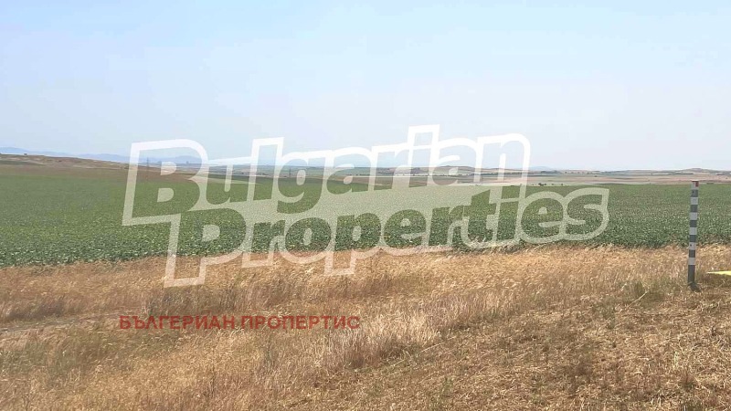 Til salgs  Land region Burgas , Tankovo , 12.504 dka | 48599058 - bilde [11]