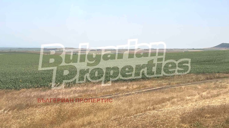 Til salgs  Land region Burgas , Tankovo , 12.504 dka | 48599058 - bilde [10]