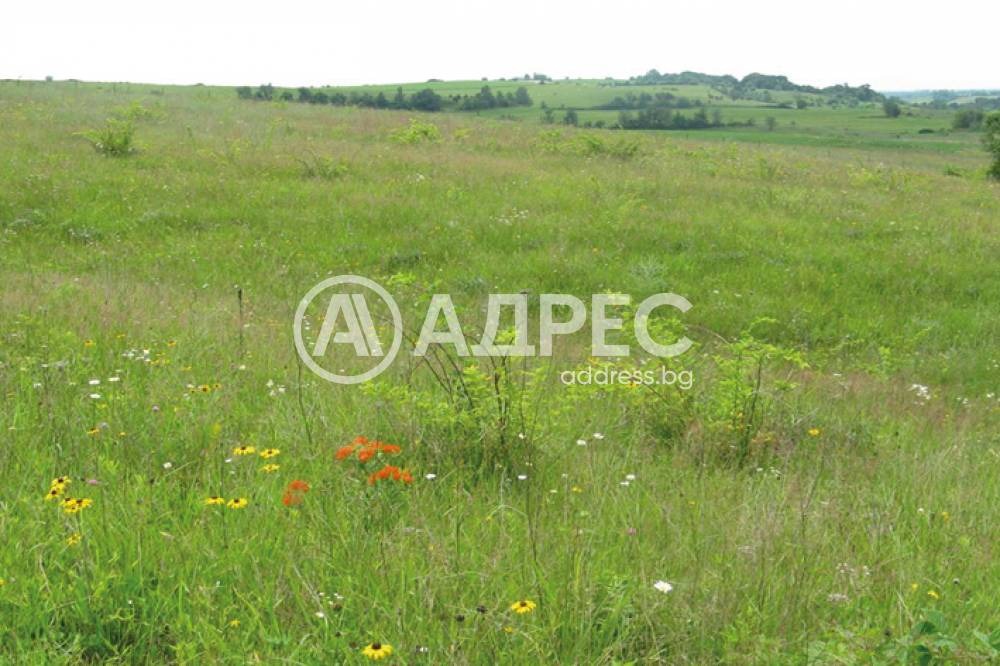 Продава ЗЕМЕДЕЛСКА ЗЕМЯ, с. Царацово, област Пловдив