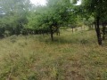 Продава ПАРЦЕЛ, с. Студена, област Перник, снимка 2