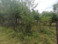 Продава ПАРЦЕЛ, с. Студена, област Перник, снимка 4