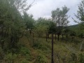 Продава ПАРЦЕЛ, област Перник, с. Студена • 40000 лв. • 95533139 — Holmes.bg