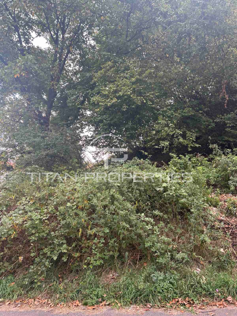Продава  Парцел град Смолян , Станевска махала , 2368 кв.м | 77505569 - изображение [3]