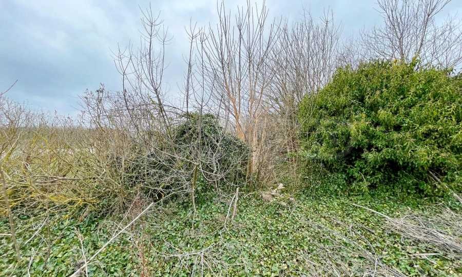 Продава ПАРЦЕЛ | Imot.bg — изображение 5