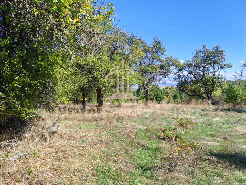 For Sale  Plot region Pernik , Kalishte , 1000 sq.m | 22656166 - image [4]