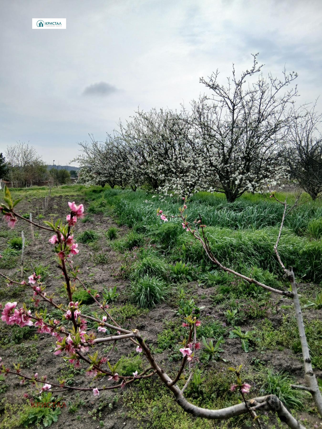 ������� ������ | Imot.bg � ����������� 4