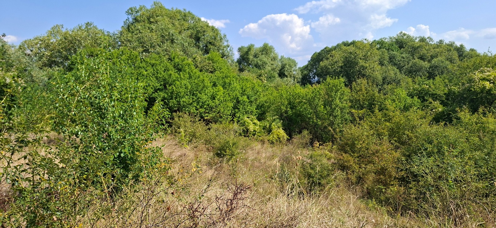 ������� ������ | Imot.bg � ����������� 1