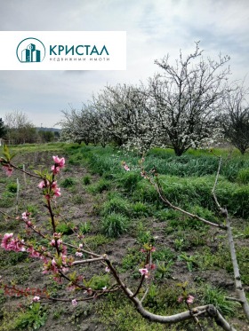 ����� ������� ������,�. �����������, ������ ����� ������>