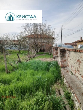 ����� ������� ������,�. �����������, ������ ����� ������