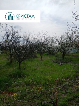 ������� ������ | Imot.bg � ����� ������ 5