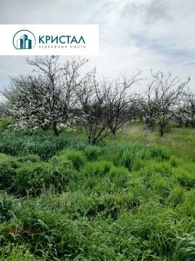 ����� ������� ������,�. �����������, ������ ����� ������