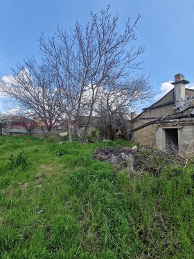 ����� ������� ������,���� �����, ���������