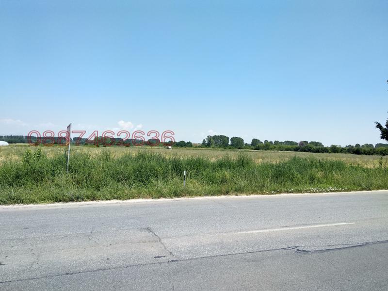 Продава ПАРЦЕЛ, с. Звъничево, област Пазарджик, снимка 5 - Парцели - 52779494