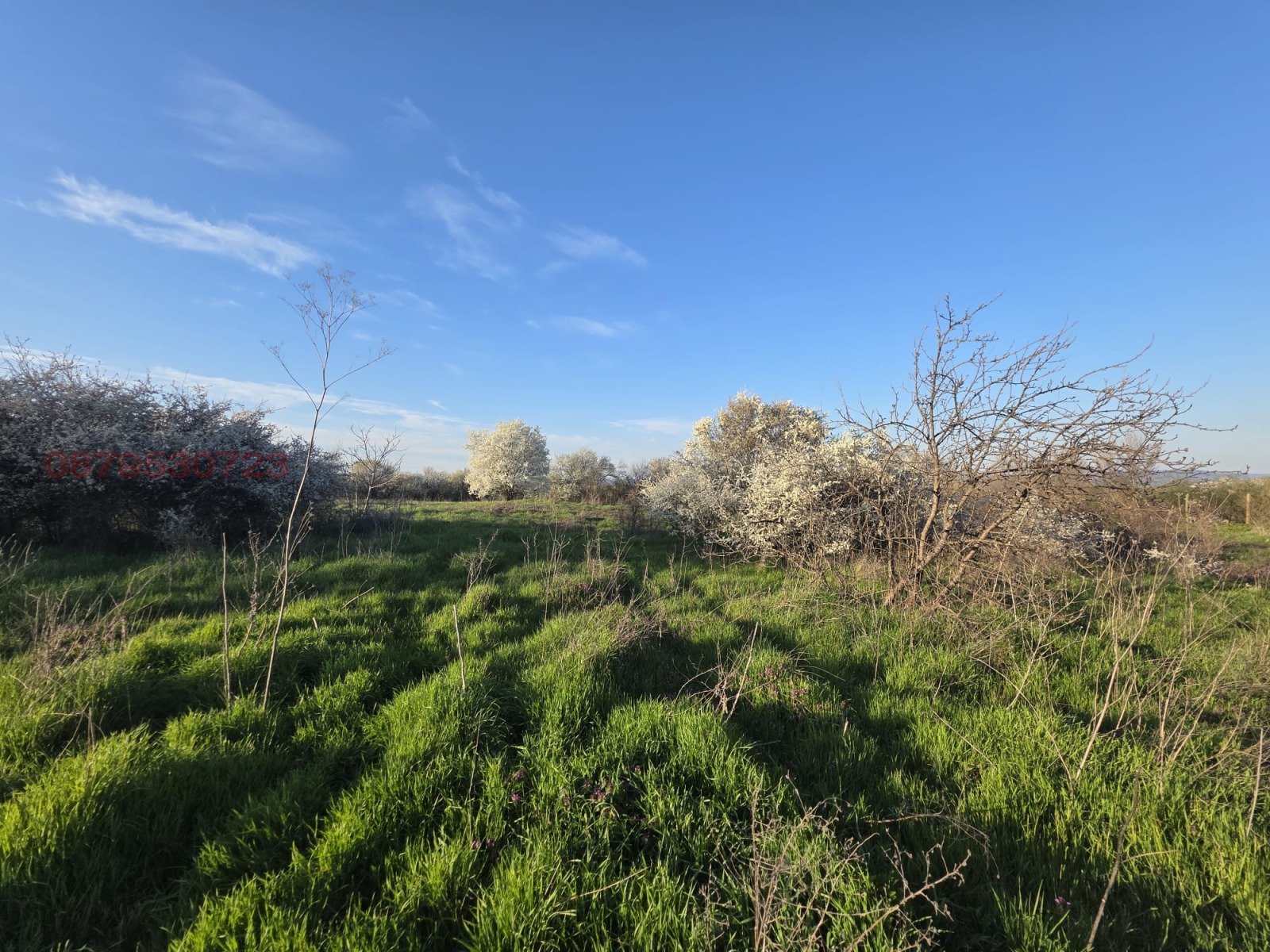 Продава КЪЩА, с. Огнен, област Бургас, снимка 6 - Къщи - 56736577