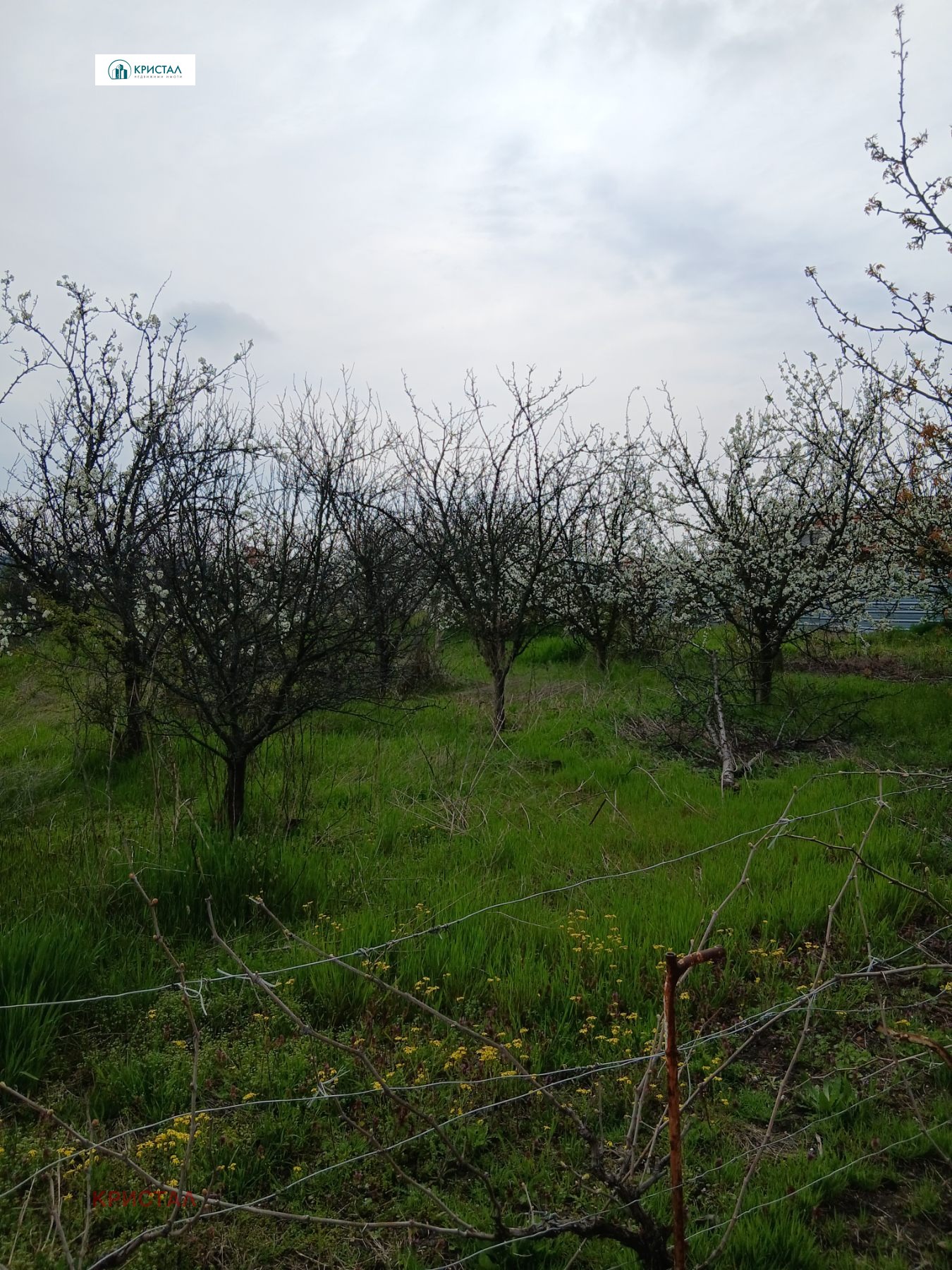 Продава ПАРЦЕЛ, с. Плодовитово, област Стара Загора, снимка 5 - Парцели - 54206498