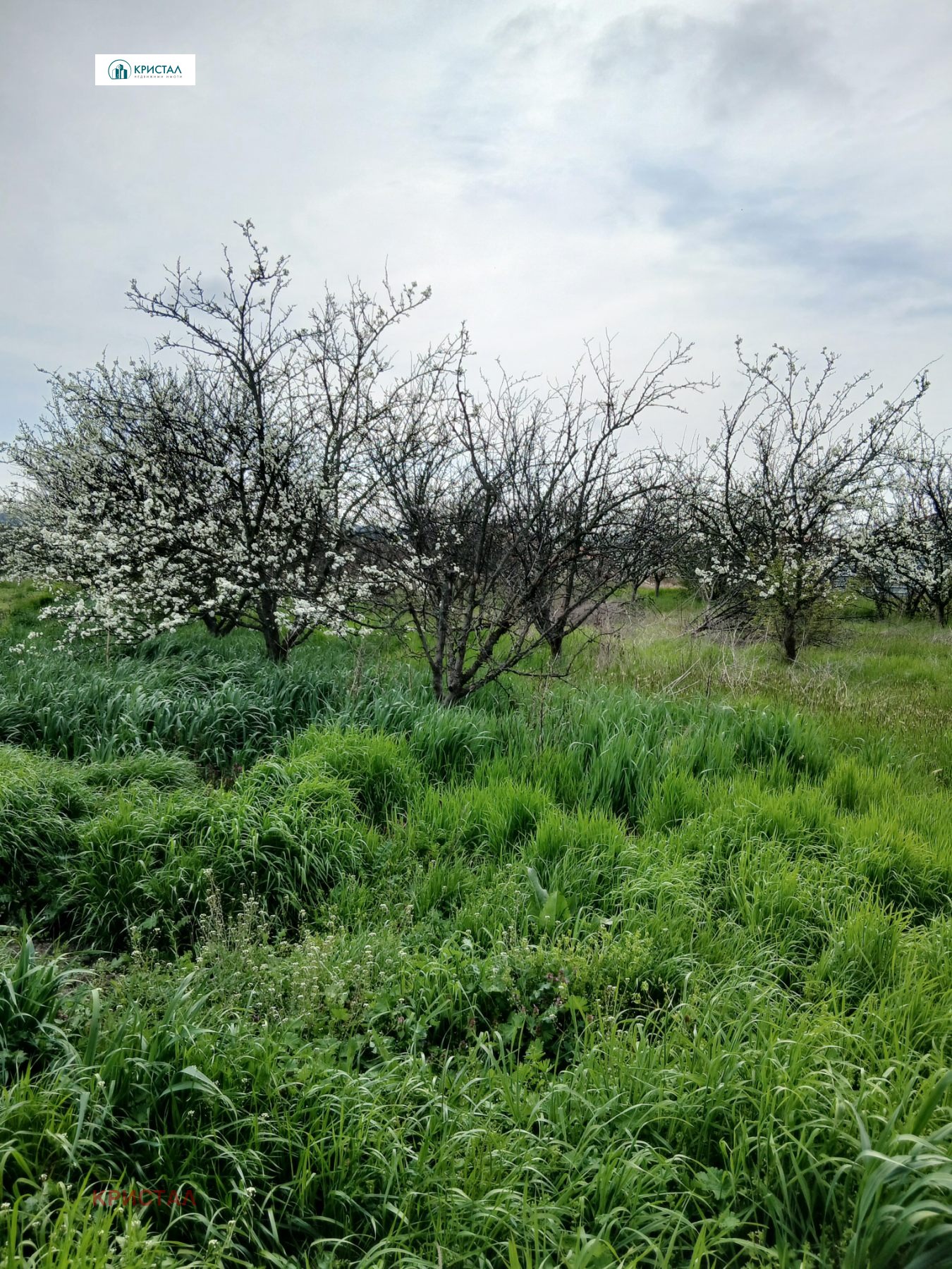 Продава ПАРЦЕЛ, с. Плодовитово, област Стара Загора