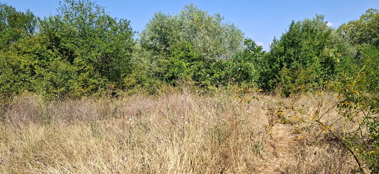 Продава ПАРЦЕЛ, с. Храбърско, област София област, снимка 3 - Парцели - 55624892