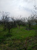 Продава ПАРЦЕЛ, с. Плодовитово, област Стара Загора, снимка 5
