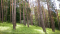 Продава ЗЕМЕДЕЛСКА ЗЕМЯ, гр. Бяла, област Варна, снимка 2